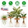 4Pack Glass Propagation Stations For Plants Indoor Glass Planters Hydroponic Plant Vases 2 Large 2 Small for Plant Cuttings Flower Arrangements