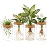 4Pack Glass Propagation Stations For Plants Indoor Glass Planters Hydroponic Plant Vases 2 Large 2 Small for Plant Cuttings Flower Arrangements
