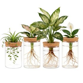 4Pack Glass Propagation Stations For Plants Indoor Glass Planters Hydroponic Plant Vases 2 Large 2 Small for Plant Cuttings Flower Arrangements